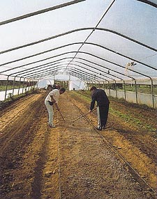 Imagen del libro Agricultura Ecolgica
