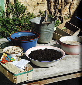 Imagen del libro Multiplicar las Plantas del Huerto y el Jardn
