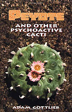 Peyote. And other psychoactive cacti