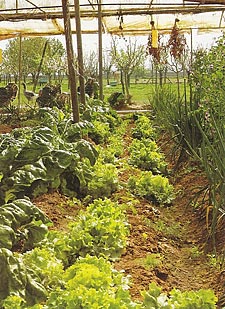 Imagen del libro Agricultura Ecológica