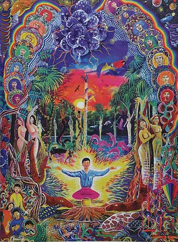 Imagen del libro The Ayahuasca Visions of Pablo Amaringo (Tapa Dura)