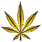 Libros de la Sección: Cannabis